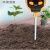田米五合一土壤检测仪土壤ph计湿度温度检测土壤测试仪便携款 S-2五合一土壤检测仪 