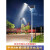 路灯6米新农村户外照明灯杆LED大功率超亮防水锂电 4米40W道路灯