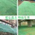 定制适用盖土网防尘网建筑工地绿网覆盖网绿化网裸土遮盖网绿色环保密目网 绿色3针8米宽20米长 绿色