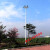 新农村户外防水路灯杆足球篮球场照明灯杆5米6米7米8米道路高杆灯 战狼款200w单头(不含杆)
