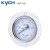 凯宇气动 KYCH Y-50/40/60ZU气动压力表轴向带边/轴向带卡子支架式 压力表玻璃面 Y-50(SF-020) 0.1~0.35