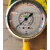 威科温度计带油压力表MR-205-305F-87-R-100-4.5 MR205   410A