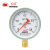 红旗（HONGQI）Y-100红旗普通压力表径向安装0-0.4mpa水压油压气压表螺纹M20*1.5	