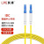 良浦 电信级单模万兆光纤跳线 单模单芯Φ3.0（LC-LC，9/125）25米 光纤线尾纤跳纤 NG-1LC-LC-S25