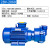 2BV系列水环式真空泵工业用高真空水循环真空泵压缩机 2BV2060-0.81KW (球铁叶轮