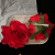 慕思语（MUSIYU）春季款式甜美红色大花朵鸭嘴夹简约清新少女侧边发卡刘海夹饰品夹 红色花朵发夹2个