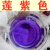 定制适用日化工业玻璃水洗衣液洗护化妆品调色染色剂水溶性速溶色 莲紫色 5g-10g(试用装)