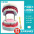 人体牙齿刷牙示范模型 自然大护理牙模型 牙齿 早教 1：1口腔模型 6倍放大口腔