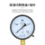 SYCIF上海仪川 压力表系列普通 真空可送检 YZ100 -0.1-0Mpa(东方)