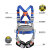 泰瑞恒安 五点式安全带 防坠消防作业安全带 全身式安全带 单独安全带 蓝灰色双大钩带绳1.8米