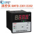 欣灵温控仪XMTD-2201/2202数显温控制器上下限控制两组触点温控器 XMTD-2201 E  0-800℃