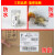 HKFZE邮宝三防热敏标签纸100*100*500快递物流面单不干胶条码 定制国际物流DHL、联邦、LAZADA 邮政等规格