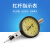 上海恒量 杠杆百分表小校表0-0.8mm杠杆指示表千分表精度0.001 杠杆千分表 0-0.2mm 精度0.002