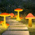   京云灿LED圣诞熊草坪灯光节造型灯户外灯光秀发光装饰景观灯过年布置蘑菇