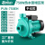 PUN铸铁热水循环泵空气能配套泵耐高温高扬程大流量增压泵 PUN-750EH