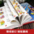 进口原版英文版儿童图画英汉双解词典Picture Dictionary for Children