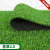 仿真草坪地毯幼儿园人造假草皮装饰阳台户外绿色围挡人工塑料绿植定做 2厘米春草【超密加厚质保款】绿背胶
