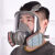 LISM化学实验室口罩防毒面具防尘喷漆专用甲醛化工打农药消防油漆 全面具主体防雾款