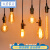 KEDOETY可调光led灯泡 透明E27螺口咖啡厅餐馆创意复古40W暖黄饰灯泡 调光钨丝灯笼直丝 40W