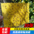 大棚粘虫板双面诱虫板纸贴黄板特粘黄色果园专用防虫贴小飞虫 25cmX30cm 双面20张 进口胶
