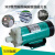 福奥森 定制适用MP-10RN/15RM/20R/30R/55R 耐腐蚀电渡水泵器泵微型磁力泵 MP-55RZ