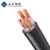 上上电缆 电缆线ZC-YJV-0.6/1kV-4*150+1*70平方5芯国标阻燃铜芯电源线全项保检 1米 