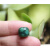 今传福天然蓝绿色珊瑚玉老型珠散珠diy配件 原矿稀有色多款9*10mm 第七款