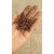 生锈铁钉养花铁丝钉子处理自然洋钉废铁艺术化学道具小学科学实验 2.5厘米 1斤