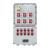 ZG-SENBEN BXMD防爆配电箱动力开关控制电控仪表接线增安正压型 （定制） 九回路+总开 