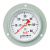 红旗（HONGQi） Y-100ZT轴向带前边 普通压力表1.6级 0-60mpa水压油压气压液压表	