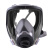 LISM防毒面具全面罩喷漆专用防尘口罩防工业粉尘防护罩放毒氧气呼吸器 6100多功能面具主体一个