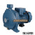 IQ离心泵大流量工业节能循环泵农用灌溉抽水泵管道增压泵 IQ25-146D0.55/146C 1寸单相