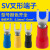 适用于SV1.25-4S冷压接线端子叉形线鼻子铜U形型预绝缘端子接头叉 SV1.25-6