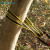 SHANDUAO 户外扁带环 攀岩登山装备 承重扁带绳 耐磨保护带SD289 黄色双边80cm