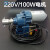 丰功220V电动卷膜器大棚养殖场猪场卷帘机自动放风机升降器卷膜机 单只电机(220V/100瓦)
