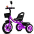 PURIXTAR儿童三轮车1-3-2-6岁大号宝宝婴儿手推脚踏自行车幼儿园童车玩具 紫色顶配钛空轮