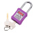 立采 安全挂锁 绝缘安全工程挂锁ABS塑料钢制锁梁工业塑料锁具 紫色 一个