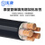 沈津 ZR-YJV-0.6/1KV-3*16+2*10mm² 国标铜芯阻燃电力电缆 1米