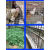 镀锌钢丝网围栏圈地养殖鸡鸭动物栅栏护栏鱼塘防裂抹墙铁丝网孔 1米高1.6厘米网孔0.8毫米粗10米长
