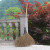 定制竹扫把农村老式竹丝扫帚笤帚户外庭院环卫通用大扫把扫院子 防腐布扎竹丝长15米宽60厘米