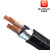 欧知联电缆ZC-YJV22 3*16+1*10平方国标铜芯铠装电力电缆硬线1米 0.6/1KV 聚乙烯