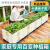 大团小圆阳台蔬菜种植箱亲子趣味种菜箱塑料花盆长方形种菜盆楼顶种菜神器 立体22箱 塑料
