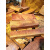 金丝楠木料黄花梨水波纹树瘤花实木木块底座干泡台木托雕刻料木板 姜黄色 N505