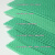 冰禹 BYQ-705 PVC镂空防滑垫 S形塑料地毯浴室地垫 网格门垫 绿色2.0m*1m（厚4.5mm）