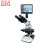 BM彼爱姆视频生物显微镜XSP-BM-2CBAP 配9吋显示屏