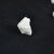 初中化学实验大理石灰石500g碳酸钙小颗粒块状二氧化碳制取5-20mm 500g袋装*10