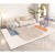 初构想（CHUGOUXIANG）地毯客厅2024新款沙发茶几垫子地垫轻奢家用可擦免洗卧室床边 BO-493 50x80cm