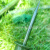 金树叶 迷彩伪装网支撑杆配件 迷彩网支撑杆配件地栓1个 绿色 X