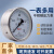 轴向储气罐气压表Y100BF-Z杭州鹳山Y-100ZB轴向容器不锈钢304鹤山 开普票