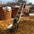 玉米棒子输送机家用小型传送带苞米上棒机链条漏粒传送带颗粒散料 6米双链条款7米铜电机 00mm